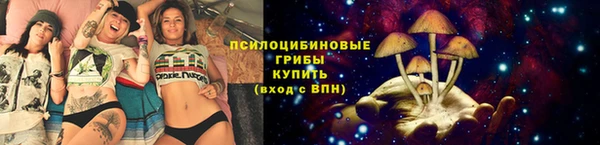 альфа пвп Надым