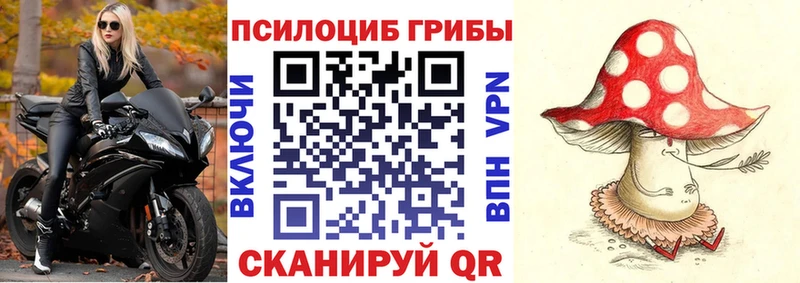 Псилоцибиновые грибы Psilocybe darknet наркотические препараты Сосновка